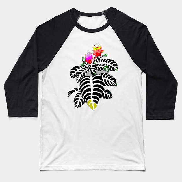 Aphelandra squarosa black leaf spesies Baseball T-Shirt by UNIQ COLOURFULL